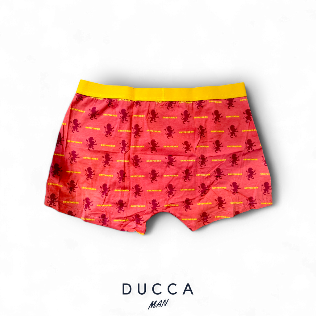 Pack Boxer Harry Potter - DUCCA Boxer S DUCCA