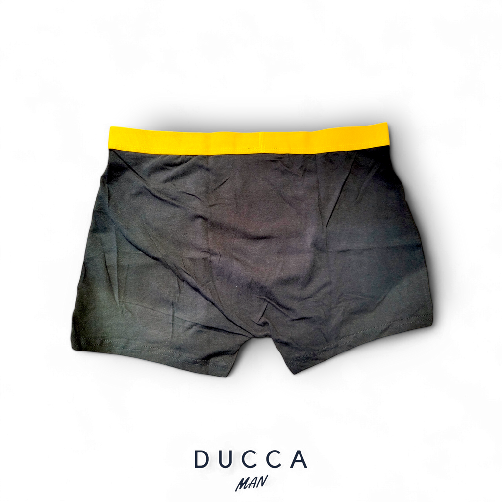 Pack Boxer Harry Potter - DUCCA Boxer S DUCCA